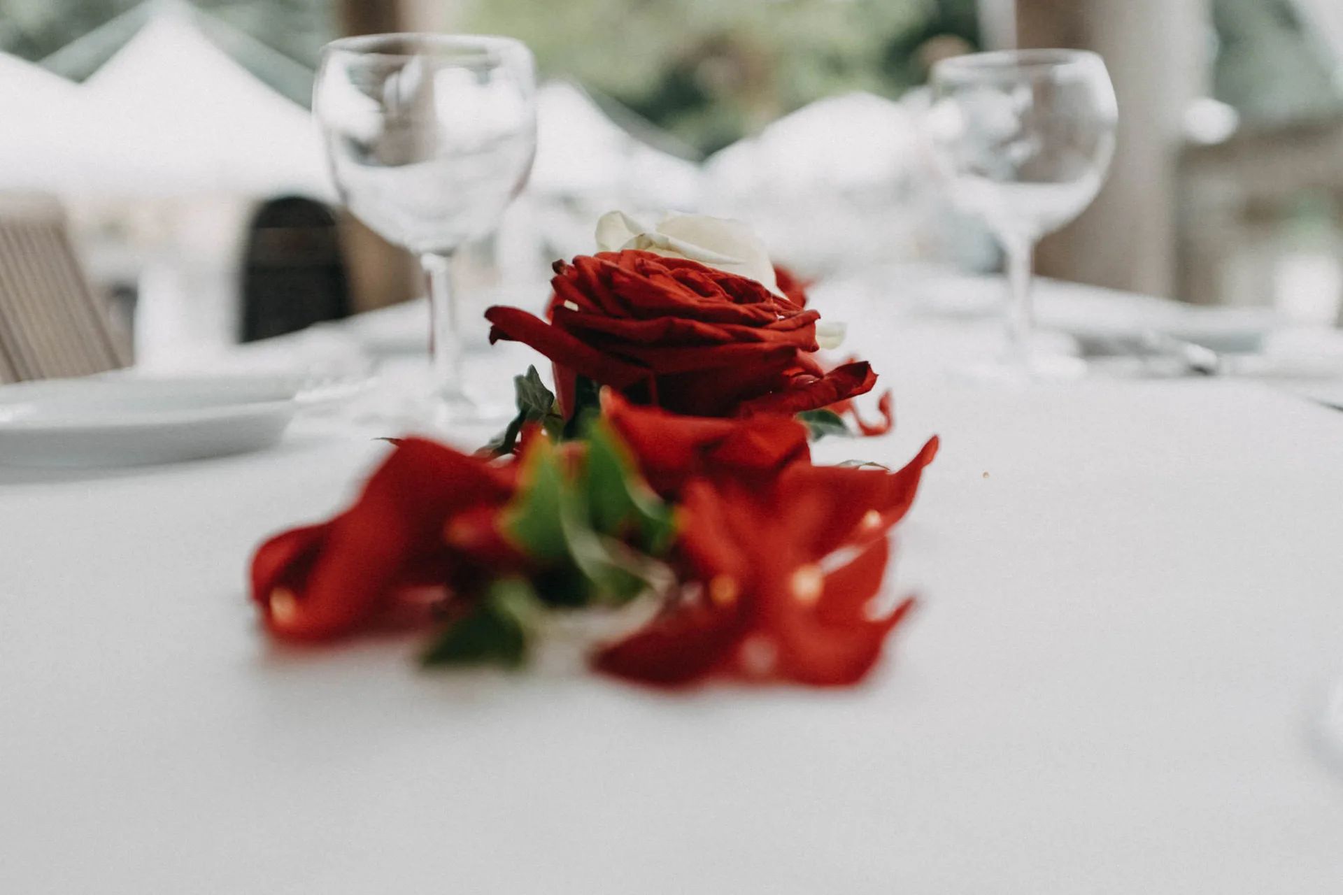 Hochzeit in Stuttgart – Bild 21