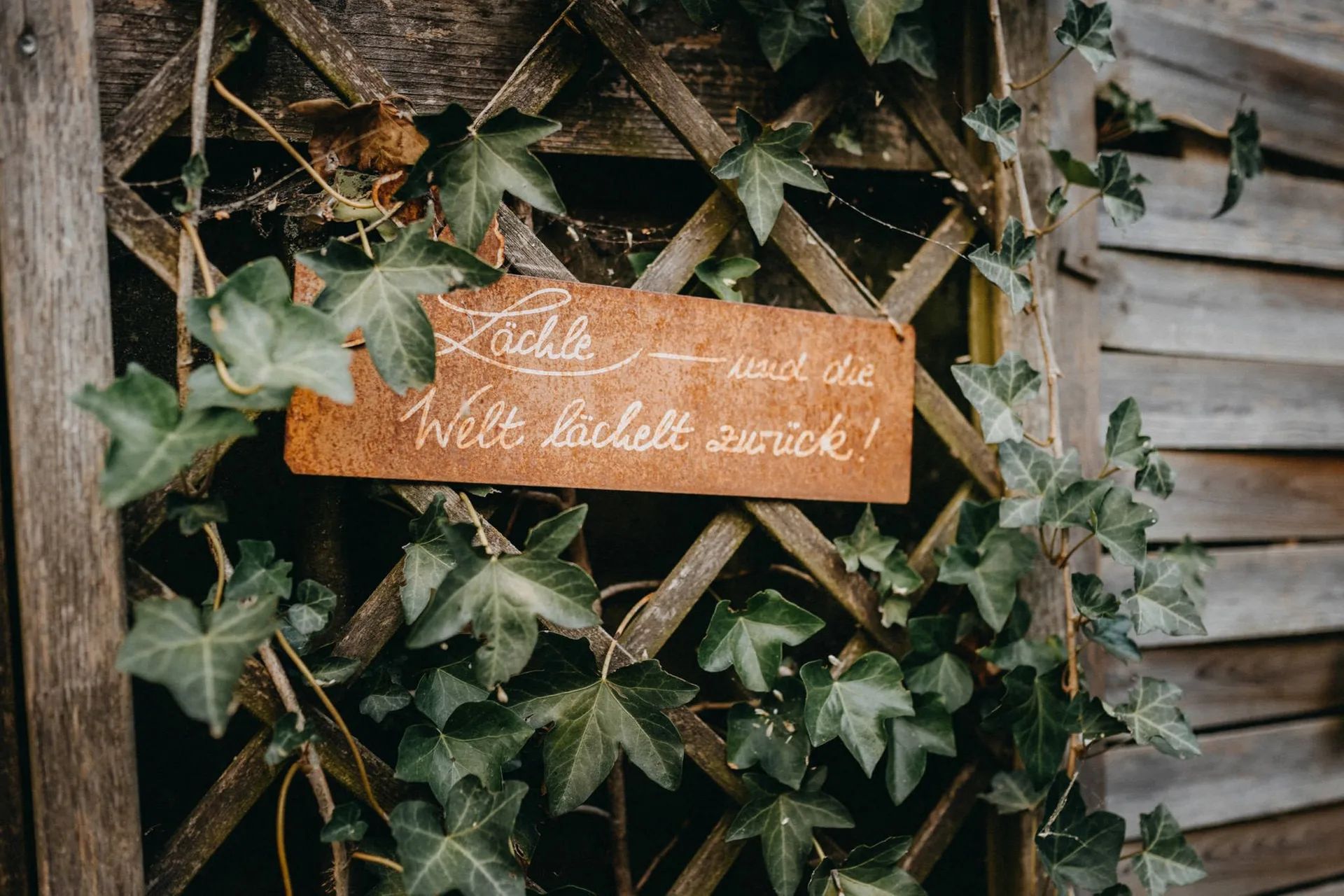 Hochzeit in Remseck am Neckar – Bild 22
